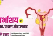 Uterus Meaning in Hindi